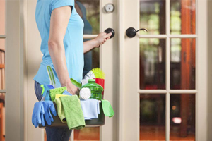 Cleaner Palmers Green