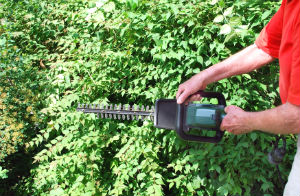 hedge-trimming-palmers-green