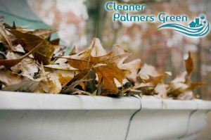 gutter-cleaners-palmers-green